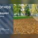 Прогноз погоди на 13 жовтня для Київщини та Києва